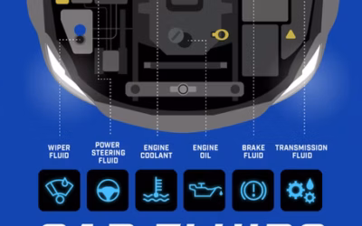 Understanding Your Vehicle’s Fluids