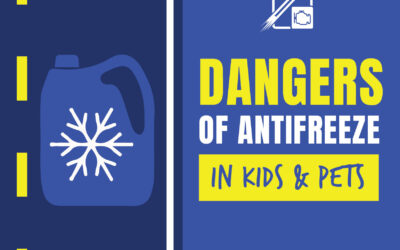 Dangers of Antifreeze in Kids and Pets